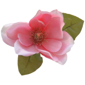 http://www.magnolianetworks.net/wp-content/uploads/2017/06/cropped-magnolia-favicon.png